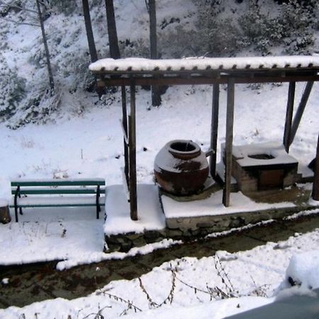 Spilia Flora'S House 빌라 외부 사진