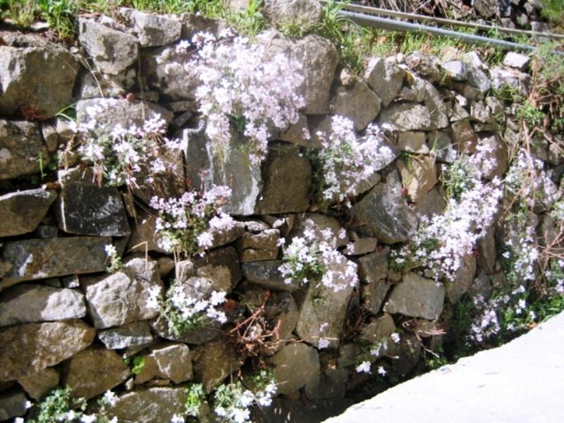 Spilia Flora'S House 빌라 외부 사진